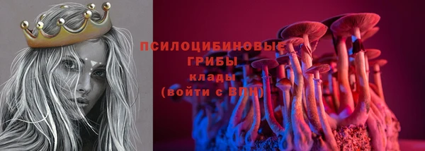 apvp Алексин