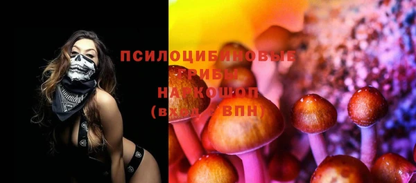 apvp Алексин