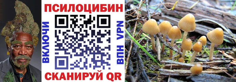 Галлюциногенные грибы Cubensis  Николаевск 